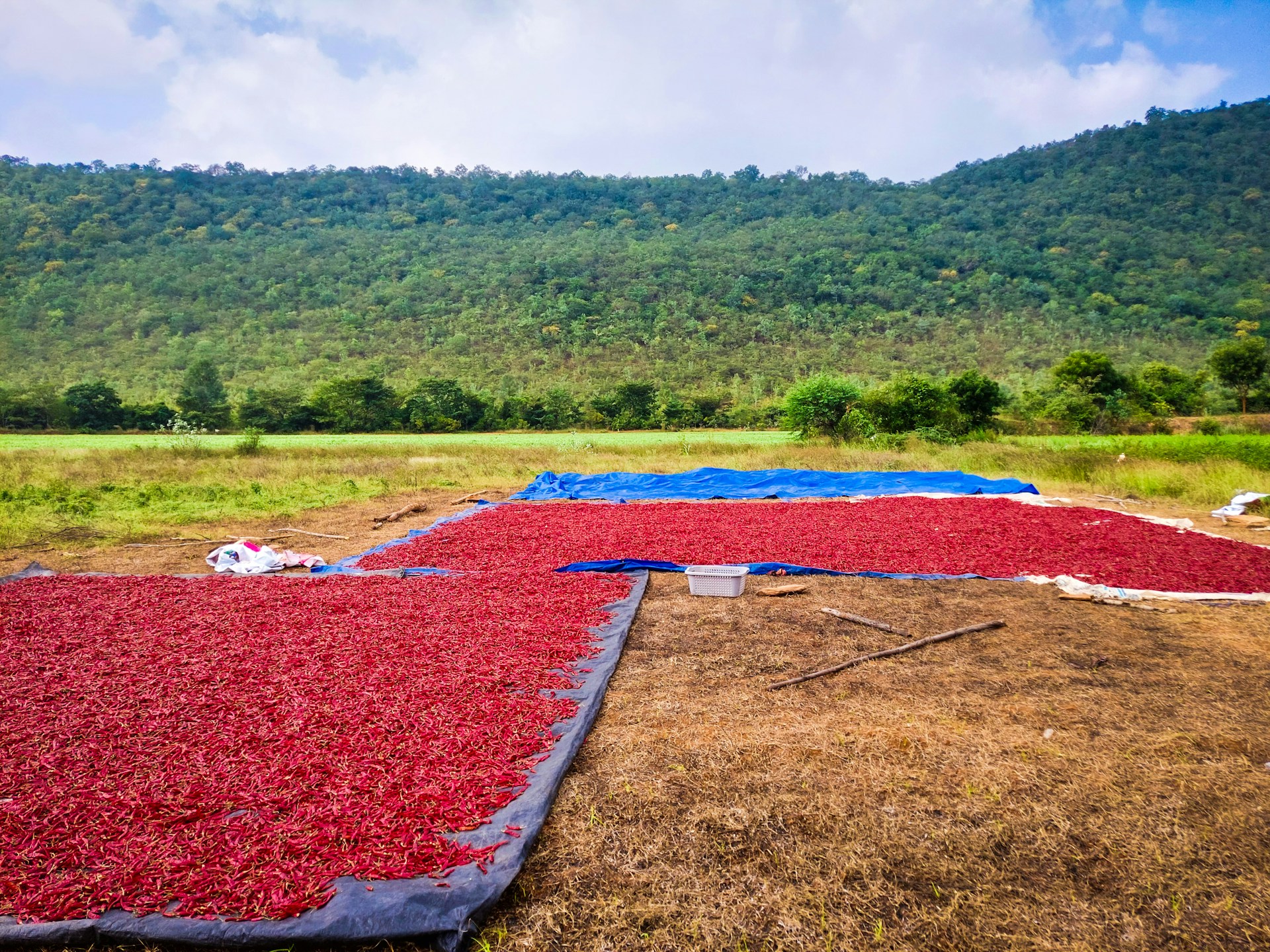 Sustainably farmed produce from Agriflare Africa