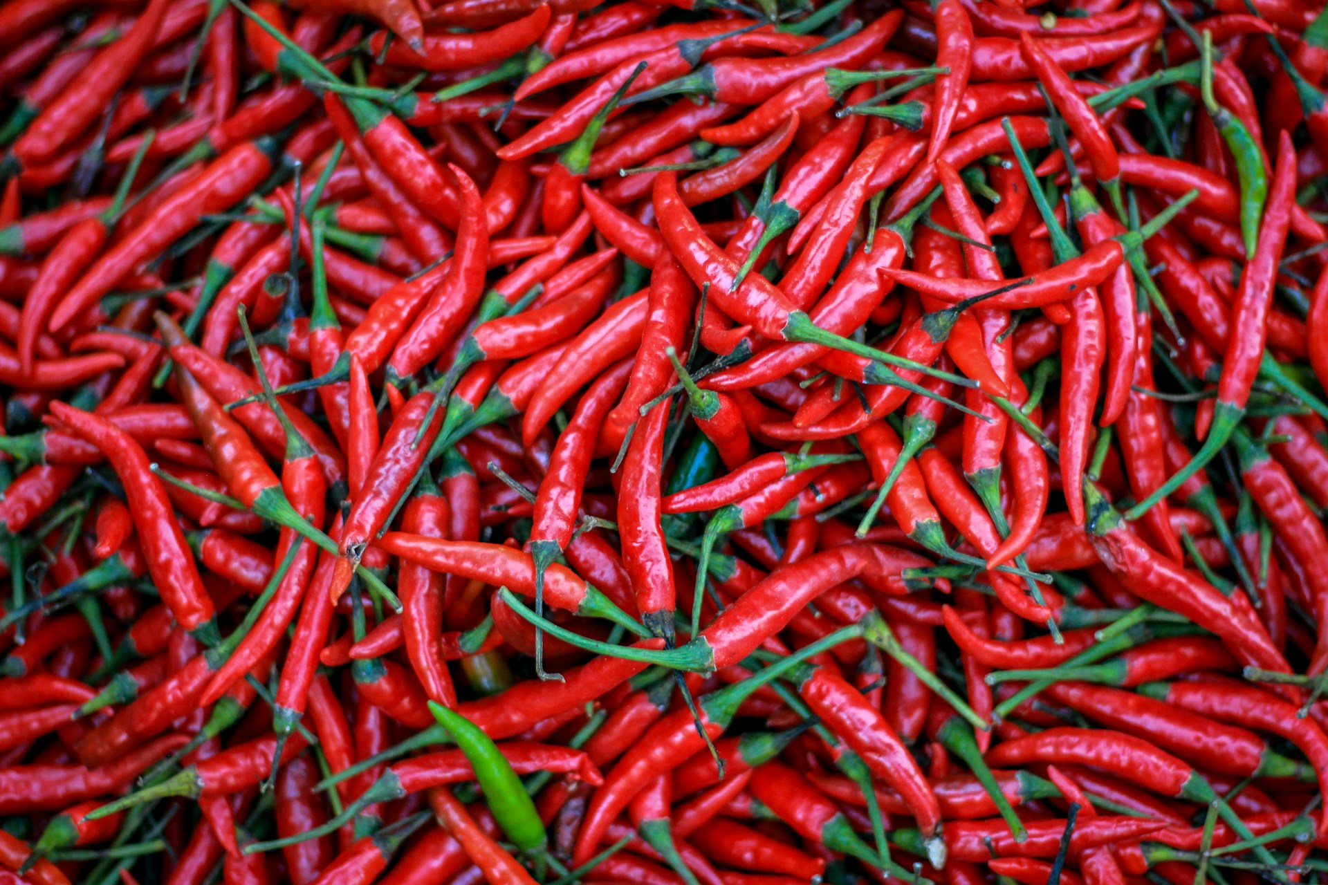 Fresh vegetables and chilli being processed at Agriflare Africa